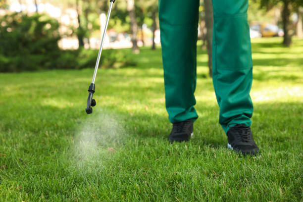 Best Mosquito Control Services  in West Yellowstone, MT