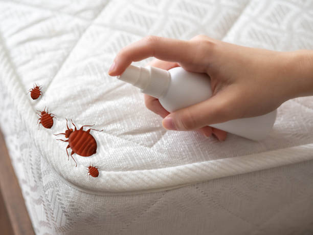 Pest Control for Restaurants in West Yellowstone, MT
