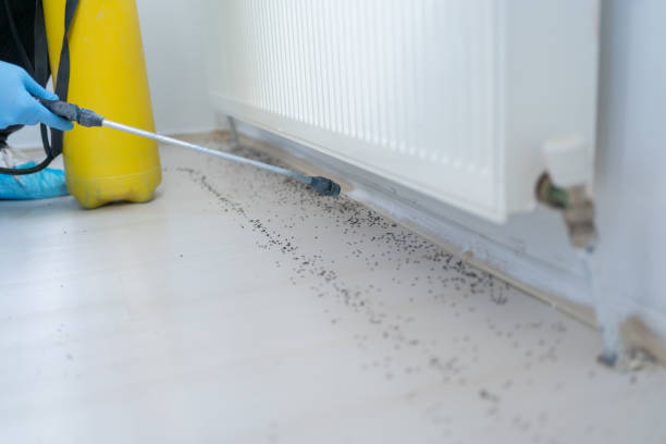 Best Commercial Pest Control Services  in West Yellowstone, MT